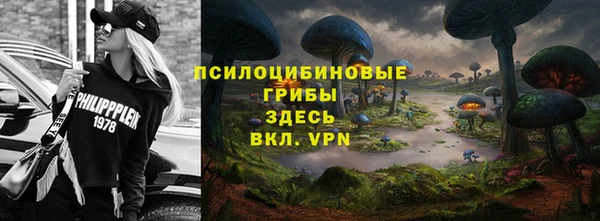шишки Волосово